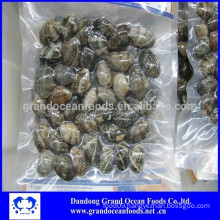 Frozen cooked baby clams -- export USA market